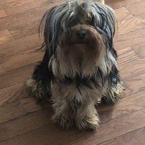 Meet your Posher, Lorena